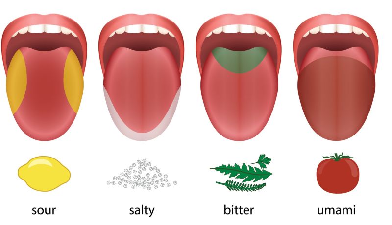 taste of tongue