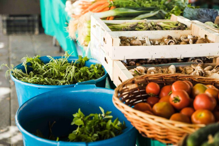 Food Industry Growth in Bangalore: A Complete Outlook